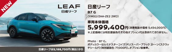 おすすめ車【日産リーフ】